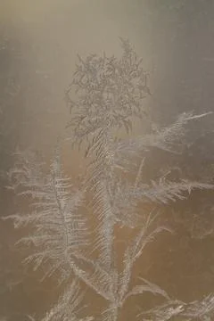 Frosty pattern on the glass, beautiful pattern Stock Photos