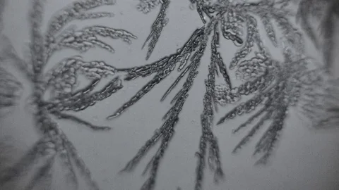 Frosty pattern on glass melts Video stock 72768035