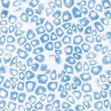 Frosty pattern Stock Illustration