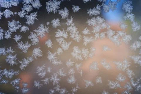 Frosty pattern on the surface in winter season Stock Photos