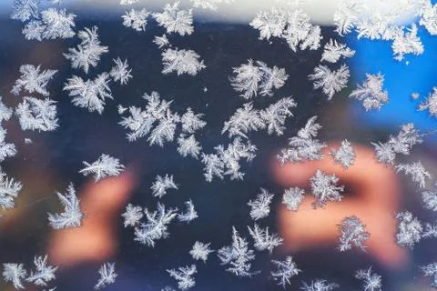 Frosty pattern on the surface in winter season Stock Photos