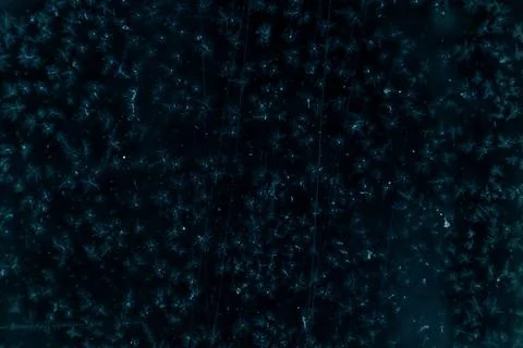 Frosty pattern on a window in blue tones with chaotic lines on a frosty win.. Stock Photos