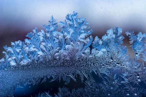 Frosty pattern on window Stock Photos