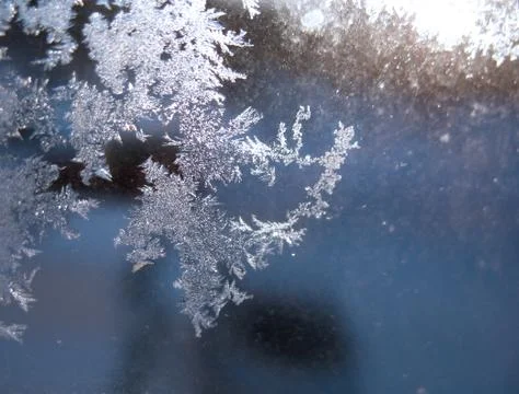 Frosty pattern on winter window Stock Photos