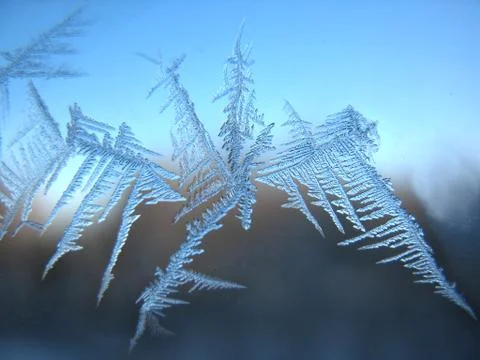 Frosty pattern on winter window Stock Photos