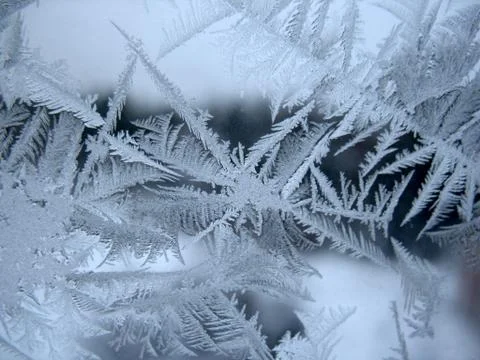 Frosty pattern on winter window Stock Photos