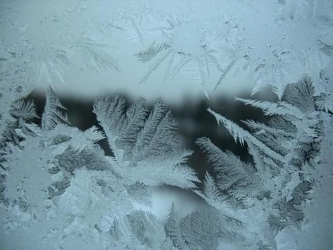 Frosty pattern on winter window Stock Photos