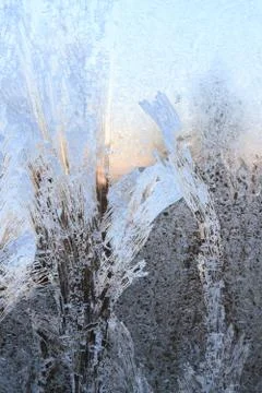 Frosty patterns on a frozen ice box in the early morning Stock Photos