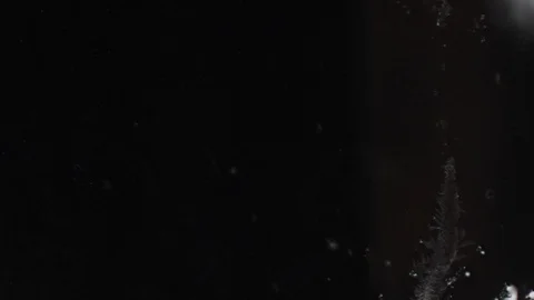 Frosty patterns on the window on a black background Stock Footage 116725646
