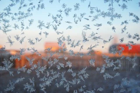 Frosty Stock Photos