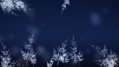 Frosty Pine Branches Frame on Blue Background Winter Motion Graphics Stock-Footage 347810056