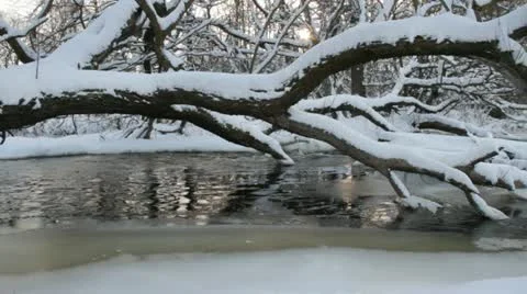 Frosty river. Stockbeeldmateriaal 20525895