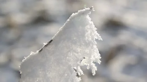 Frosty scene Vídeo Stock 12736820