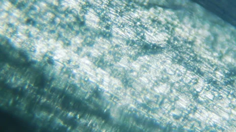 Frosty skin surface Closeup Stock-Footage 64901457