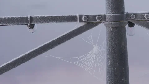 Frosty spiderweb on a railing in Sweden shows delicate patterns Stock Footage 323071948