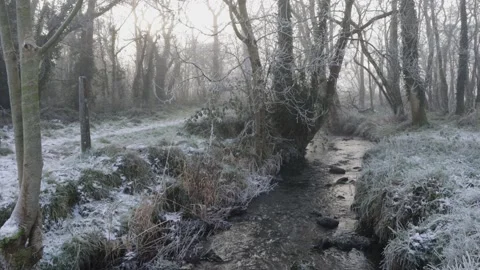 Frosty-stream Video stock 168227876