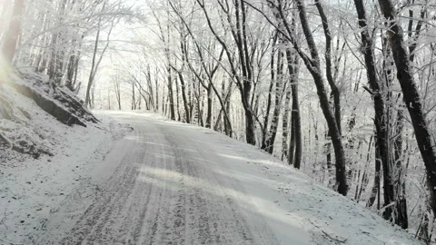 Frosty sunny winter day. View of the winter road in the forest, Crimea, Ai-Petri Stock Footage 148731982