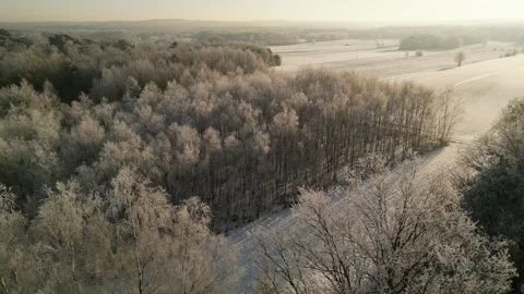 Frosty sunrise drone flight over forest with crows in January Stock Footage 327618677