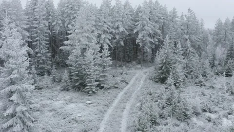 Frosty Swedish winter Stock Footage