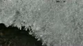 Frosty Texture Fresh Liquid Low Temperature Concept Fairy Tale Ice Flower Frozen HD Footage