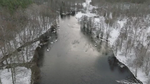 Frosty tranquility by Swedish river Stock Footage 293693097
