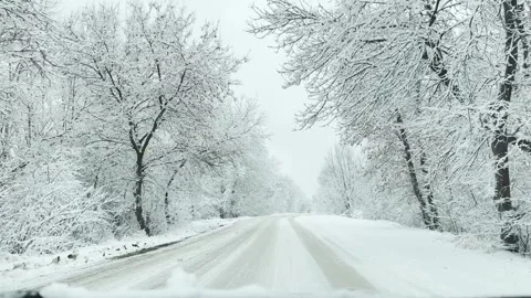 Frosty tree branches in snowfall, snow-laden roadside forest, picturesque winter Stock Footage 305745814