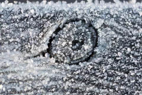 Frosty Tree Knot Stock-Fotos