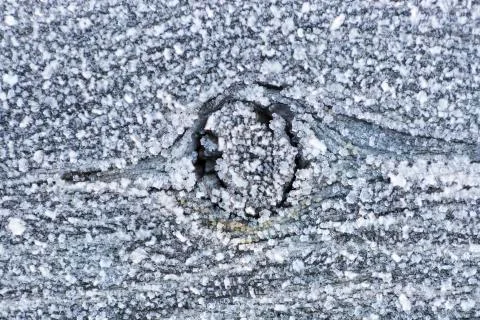 Frosty Tree Knot Stock Photos