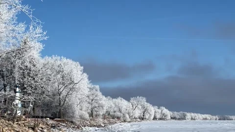 Frosty trees shine against blue cloudy sky near icy lake Stock Footage 273176631