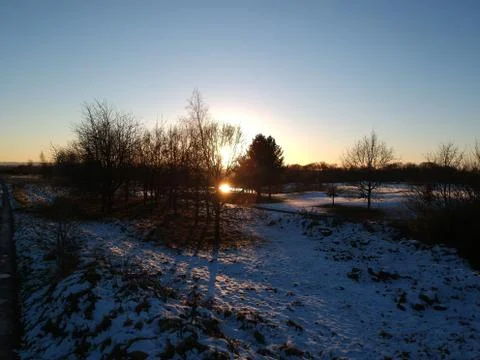 Frosty Trees in sunset Stock Photos
