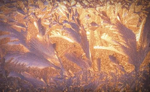 Frosty Window Stock Photos