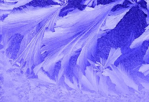 Frosty Window, Stock Photos