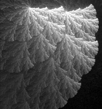 Frosty wing Stockillustratie