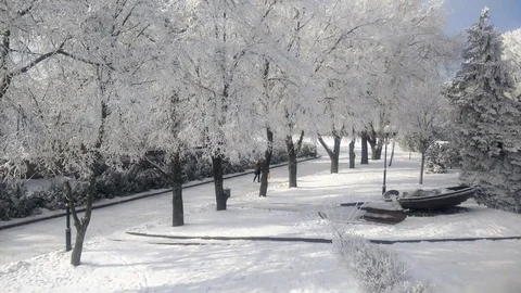 Frosty winter day Stock Footage 85187677