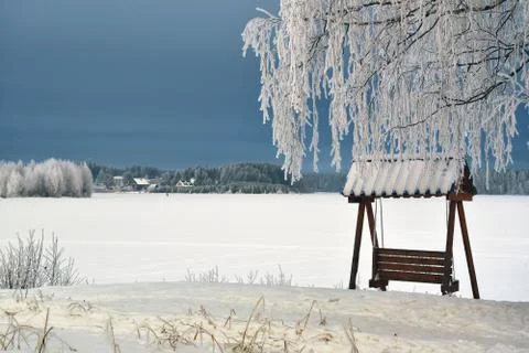 A frosty winter day. Tree branches covered with hoarfrost Stock Photos