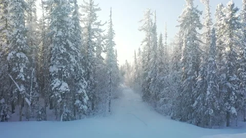 Frosty Winter Drone Flight 스톡 동영상 326722816