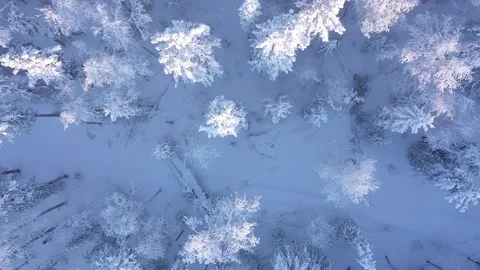 Frosty Winter Drone Flight 스톡 동영상 326722906