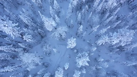Frosty Winter Drone Flight 스톡 동영상 326722908