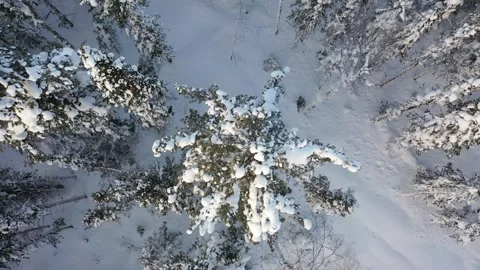 Frosty Winter Drone Flight 스톡 동영상 326723384