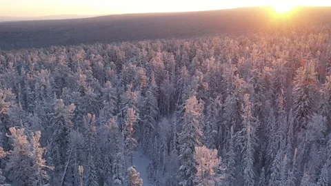Frosty Winter Drone Flight 스톡 동영상 326723436