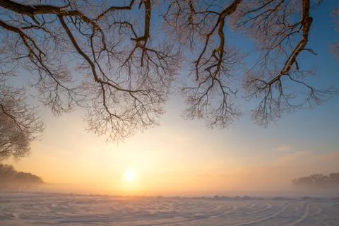 Frosty winter evening Stock-Fotos