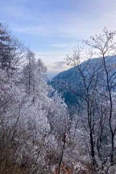 A frosty winter hike to Tomasovsky view in Slovakia, Slovensky Raj National Park Stock Photos