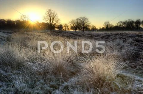 Frosty winter landscape across field towards vibrant sunrise sky Stock Photos