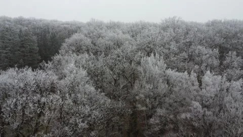 Frosty winter landscape covered with a thick layer of snow, top view, camera mov 스톡 동영상 297675932