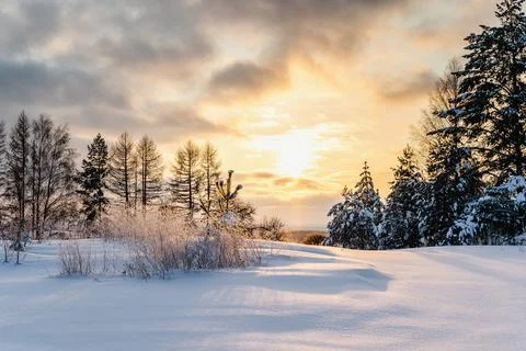 Frosty winter landscape at sunset in forest, sunbeam breaks clouds Stock Photos