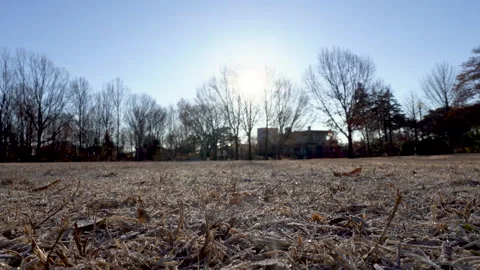 Frosty winter park Stock Footage 259618177