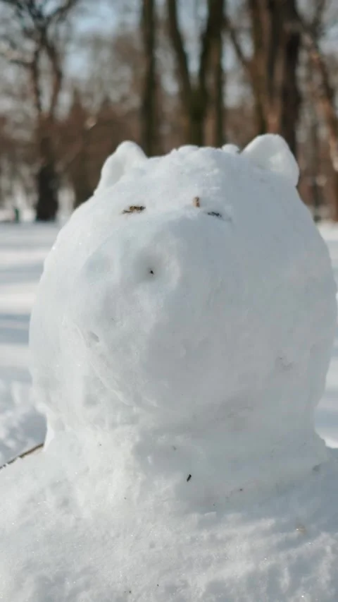 A frosty winter park with forest trees and white snow. A frosty day in the city. Stock Footage 328236154