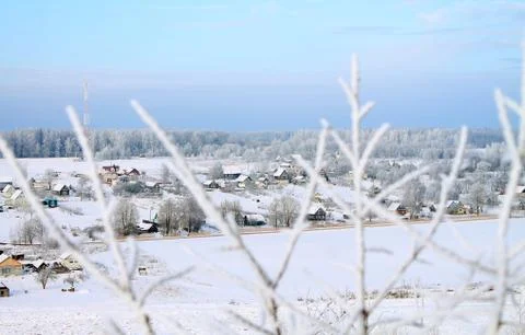 Frosty winter Stock Photos