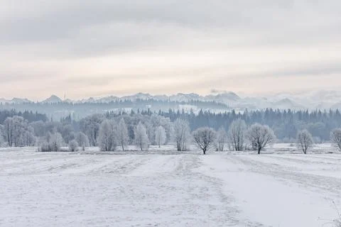 Frosty winter plain with distant mountain range Stock Photos