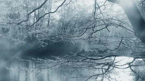 Frosty Winter Scenery Animation Vidéo 98728400